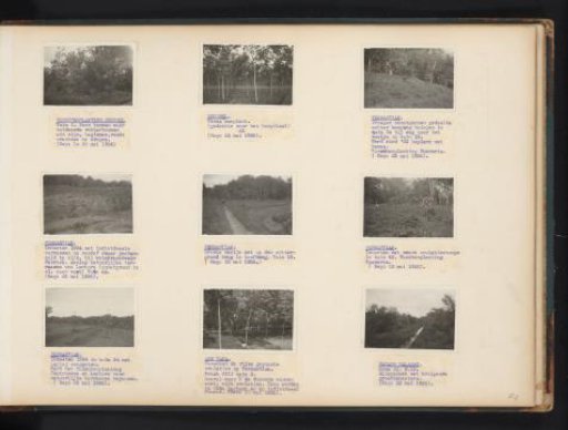 Rubber trees and oil palms at Brussel, Pernantian and Padang Halaban, 1935