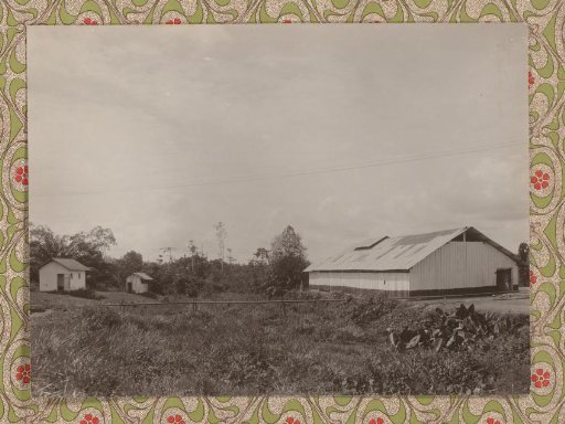 Warehouse and sheds