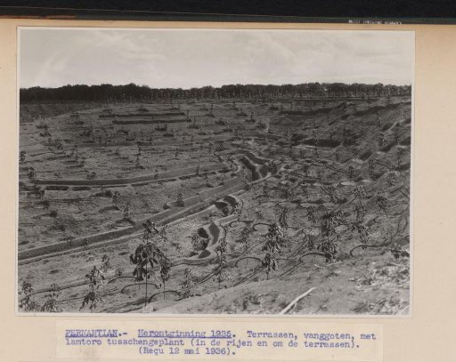 Pernantian. - Replanting 1935. Terraces, catch channels, with lamtoro planted between (in the rows and around the terraces)