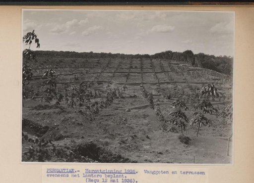 Pernantian. - Replanting 1935. Catch channels and terraces also planted with lamtoro