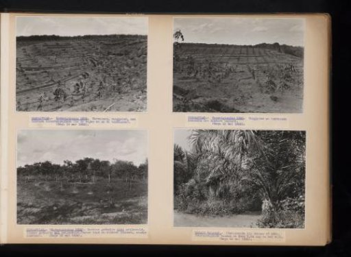 Reclamation at Pernantian, 1936