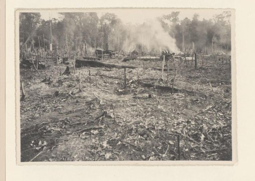 Clearing Nursery Pernantian. June '38