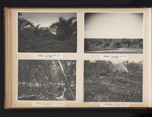 Clearing in Brussels and Pernantian, 1938