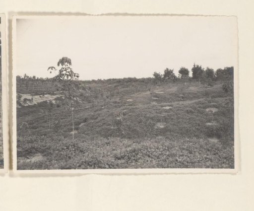 Reclamation on Pernantian, 1938