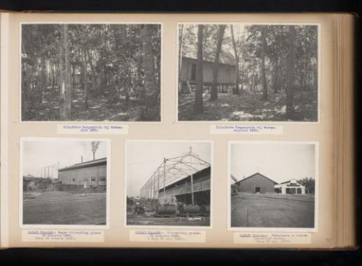 Rubber gardens, 1938
