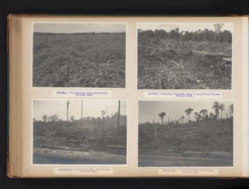 Forest clearing and clearing in Brussels and Pernantian, 1938