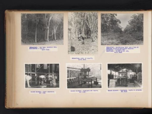 Rubber trees in Pernantian and machinery in Padang Halaban, 1939