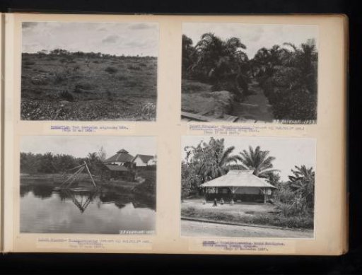 Plantations and facilities, 1936-1937