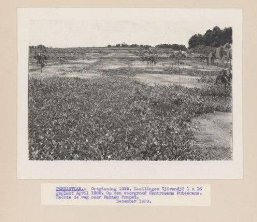 Pernantian - Reclamation 1939