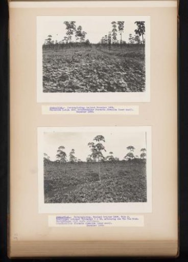 Reclamation on Pernantian, 1939