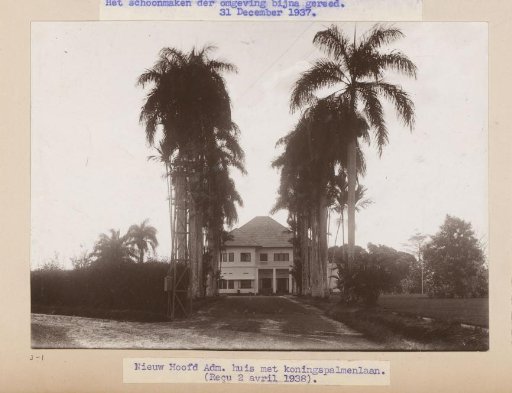 New Chief Administrator's House with Royal Palm Avenue