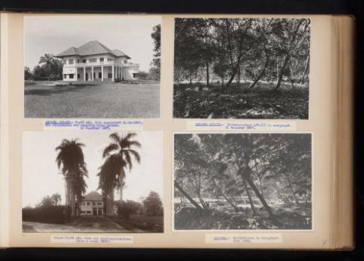 Company house and rubber trees at Brussels, 1937-1938