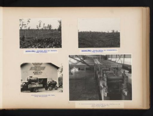 Rubber Trees and Vehicles of Leidong West and Engine Room of the Deli Batavia Rubber Mij., 1933-1935