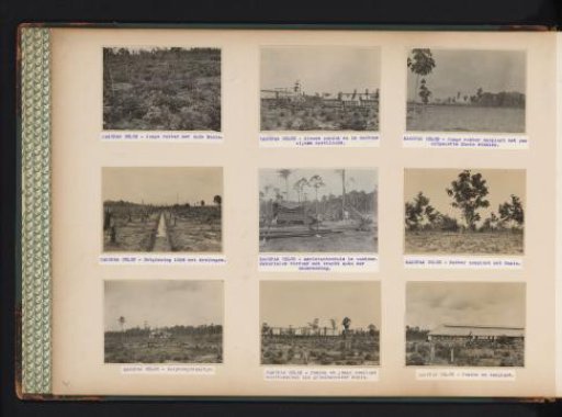 Plantations and Factory Buildings