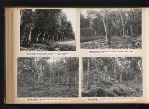 Planting at Leidong West and storm damage at Kanopan Oeloe, 1939
