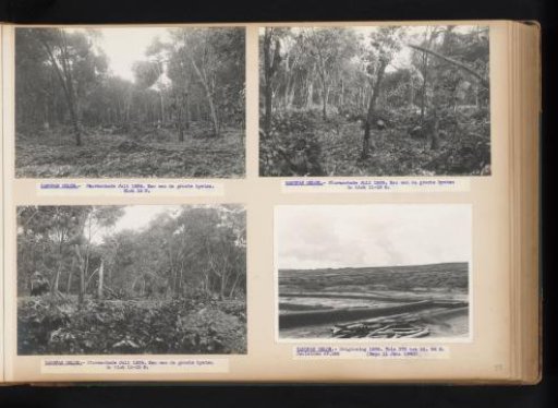 Storm damage at Kanopan Oeloe, 1939
