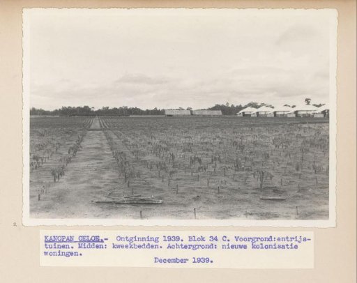 Kanopan Oeloe - Reclamation 1939