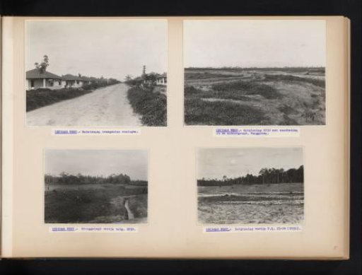 Houses and Reclamation on Leidong West