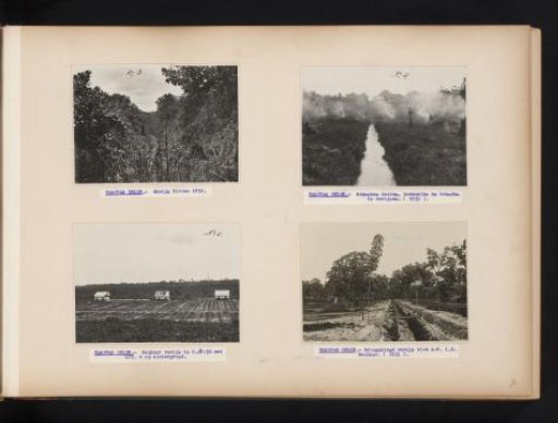 Plantations and Ravines on Kanopan Oeloe, 1931