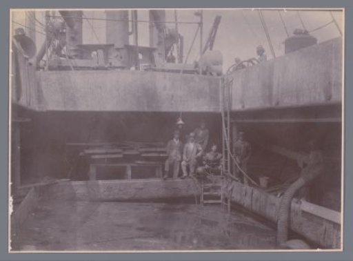 Japanese divers on hold II