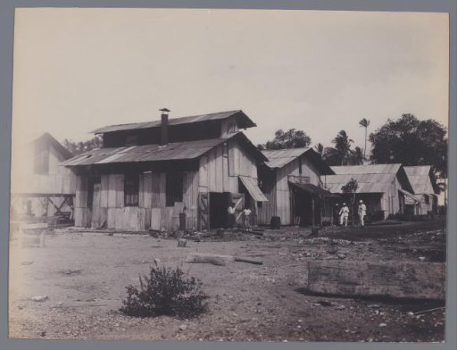 Workshops