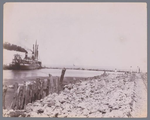 Activities in the Harbor