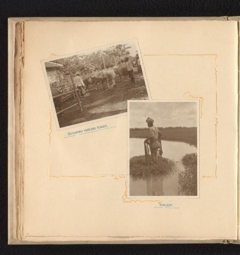 Livestock farming and fishing in Grobogan