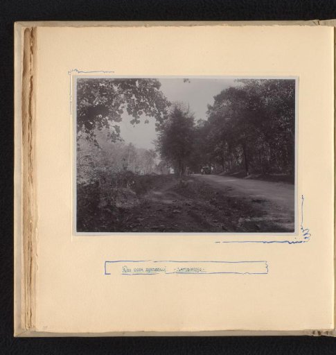 Road through a forest in Grobogan