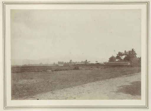 Field and Barns