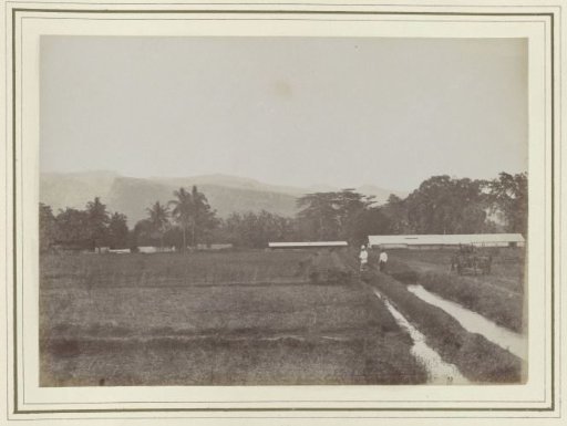 Fields and barns