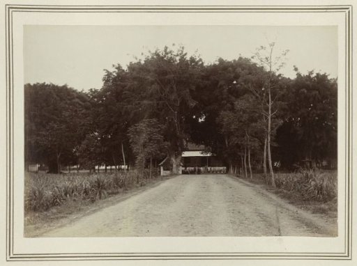 House on an avenue