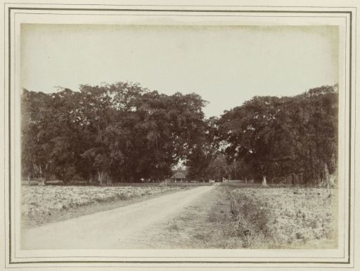 House on an avenue