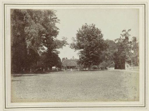 House on an avenue