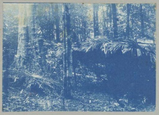 Survey camp