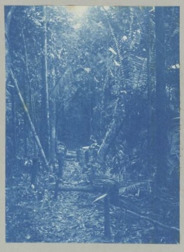 Survey line at the Witwatra