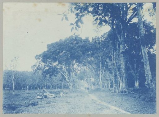 Road from "Ma retraite" to the city