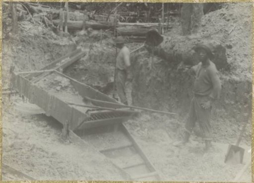 Gold seekers