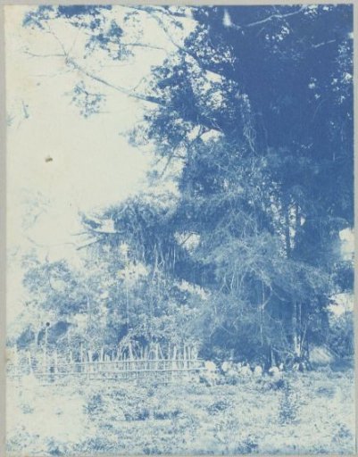 Javanese market on "Ma retraite"