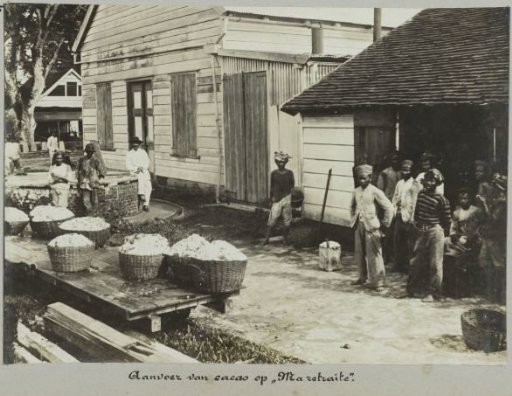 Delivery of cocoa on "Ma retraite"