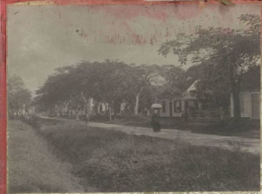 Street with houses