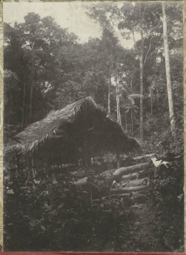Gold-digging camp at the foot of the Brownsberg