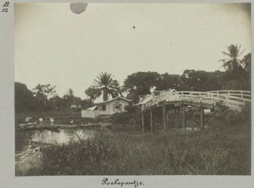 Poelepantje