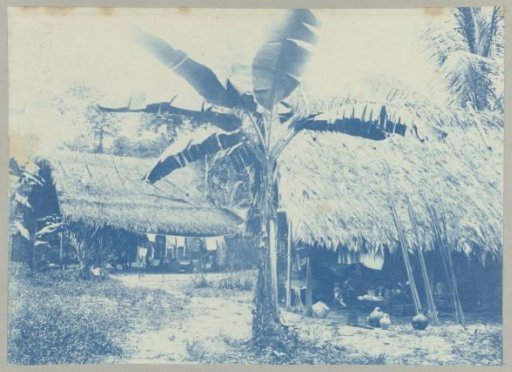 Caribbean village near Albina, Suriname