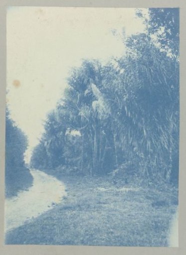 Awarra-laan near Saron