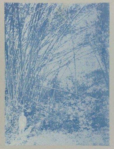 Anton under bamboo at Ma retraite