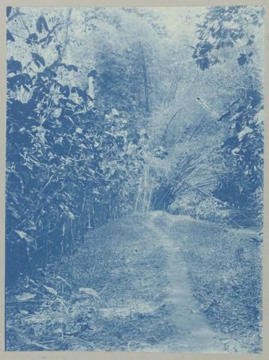 On the west dam of Tourtonne