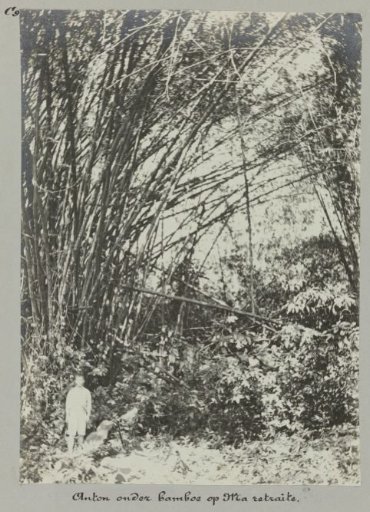 Anton under bamboo at Ma retraite