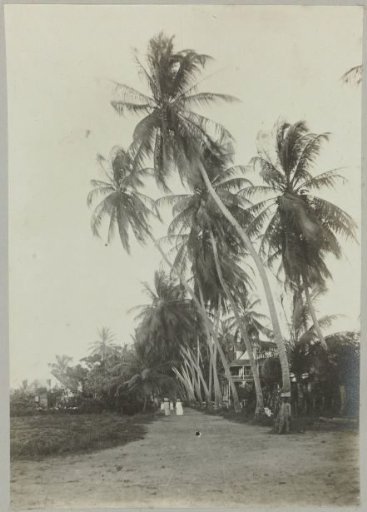 Coronie