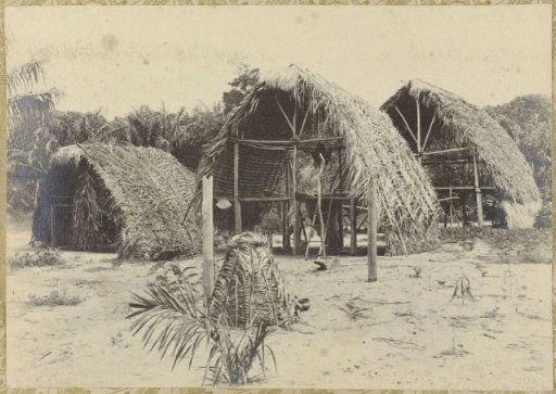Houses in a Village