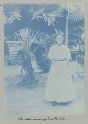 To under the fan palm, Kerkplein